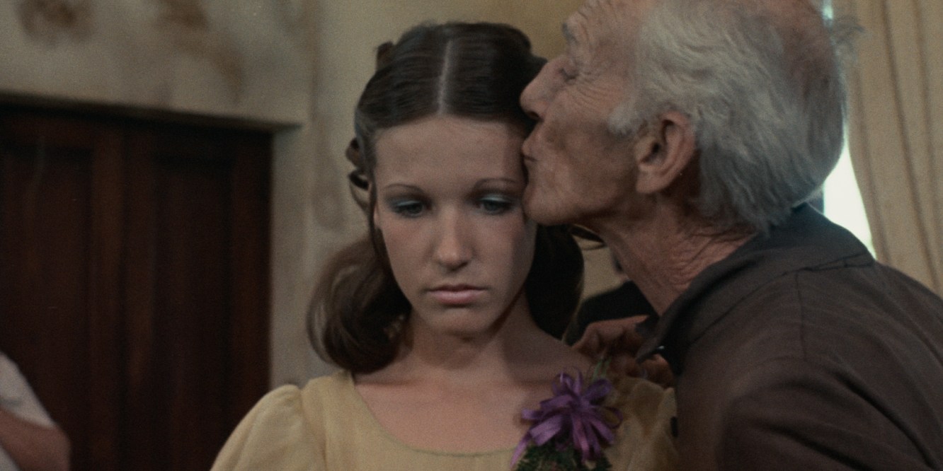 Los Sobrevivientes - The Survivors